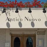 Cover image for Antico Nuovo