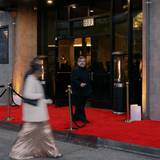 Cover image for Urban Palms