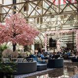 Cover image for Peacock Alley - Waldorf Astoria DC