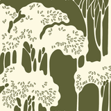 Cover image for Eidyn