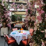 Cover image for The Garden at Corinthia London