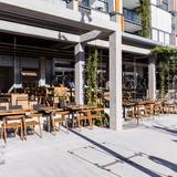 Cover image for Zushi - Barangaroo