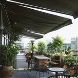 Cover image for Wild Days