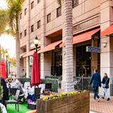 Cover image for element: steak. seafood. pasta.