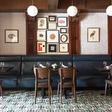 Cover image for STELLA.