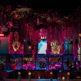 Cover image for Cantina Tequila