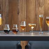 Cover image for Moody Tongue Brewing Company