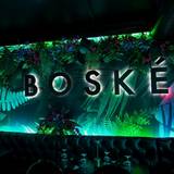 Cover image for Boske