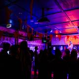 Cover image for Blute's Bar