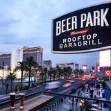 Cover image for Beer Park