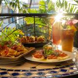Cover image for Genius Lounge  Islandstyle Japanese Dining