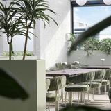 Cover image for TABOO