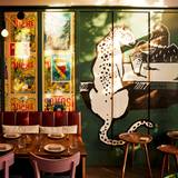 Cover image for Parche