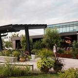 Cover image for Vicia