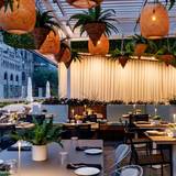 Cover image for Terrasse Belvu