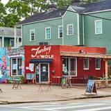 Cover image for Turkey and the Wolf