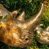 Cover image for Salvaje