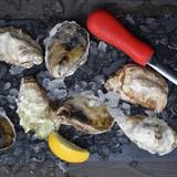 Cover image for Fin Point