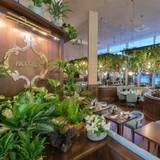 Cover image for Piccolino - Sheffield