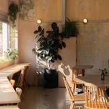 Cover image for Good as Gold