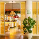 Cover image for MAM London