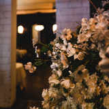 Cover image for Patton's Steakhouse