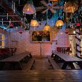 Cover image for Neon Gardens