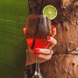 Cover image for El Nogal