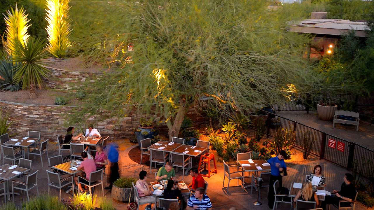 Desert Botanical Garden Phoenix Restaurant | Fasci Garden