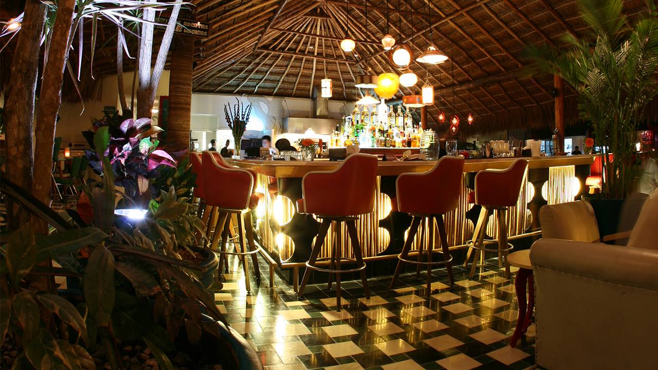 Diablito Cha Cha Cha Restaurant Playa del Carmen ROO OpenTable