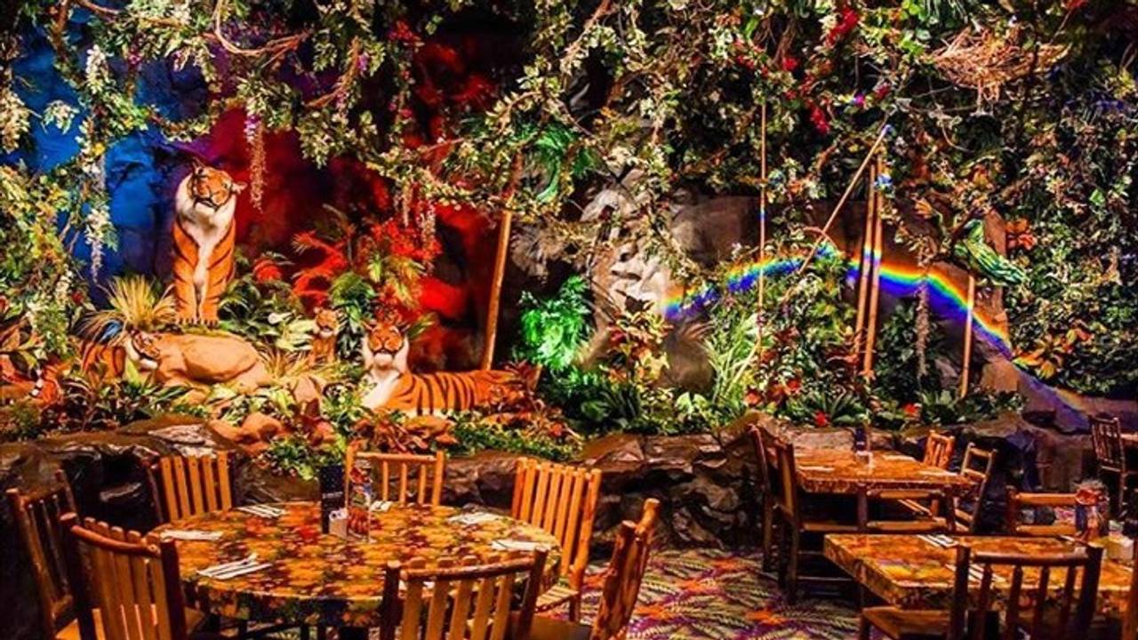 RAINFOREST CAFE - CLOSED  249 Photos & 334 Reviews - D121 Woodfield Mall,  Schaumburg, Illinois - American (Traditional) - Restaurant Reviews - Phone  Number - Menu - Yelp