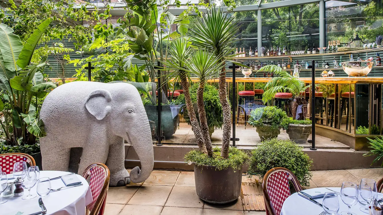 The Ivy City Garden Restaurant - London, , ENG | OpenTable