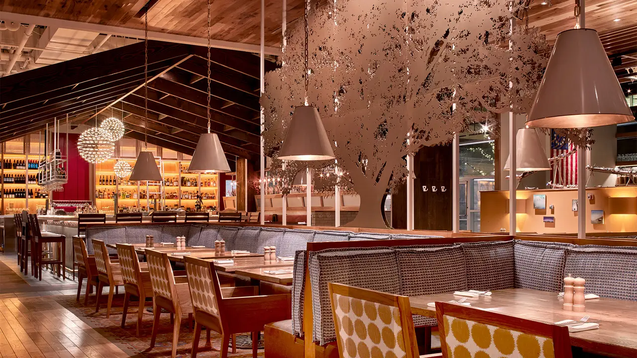 Founding Farmers - Tysons, Tysons Corner, VA Founding Farmers - Tysons, Tysons Corner, VA