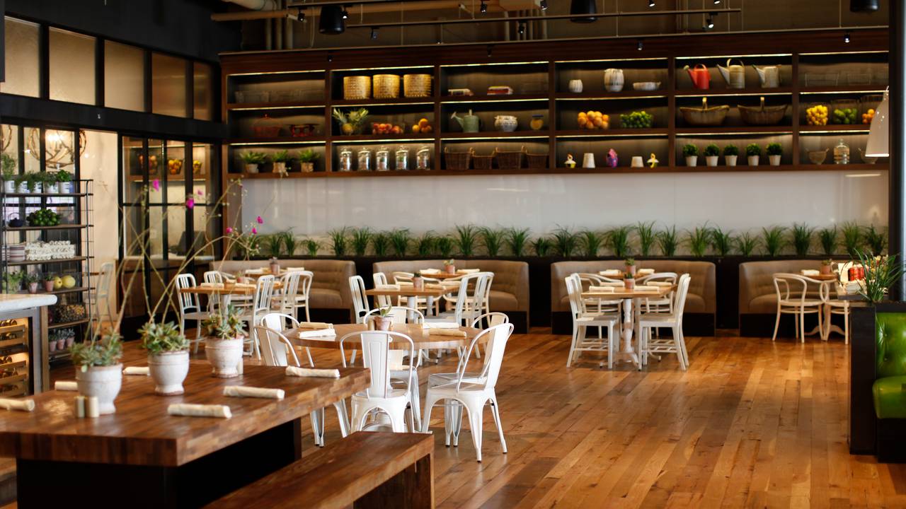 True Food Kitchen San Diego Fv Restaurant San Diego Ca