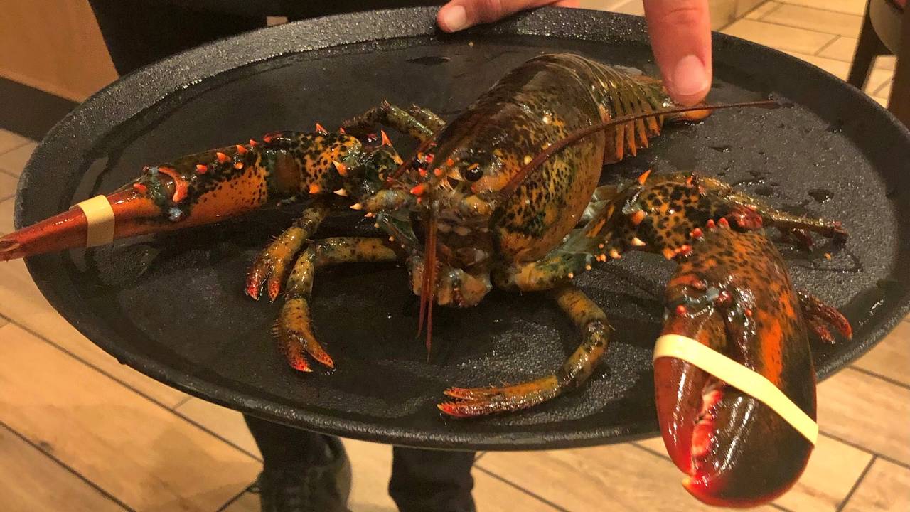 Red Lobster Dress Code Home Interior Design