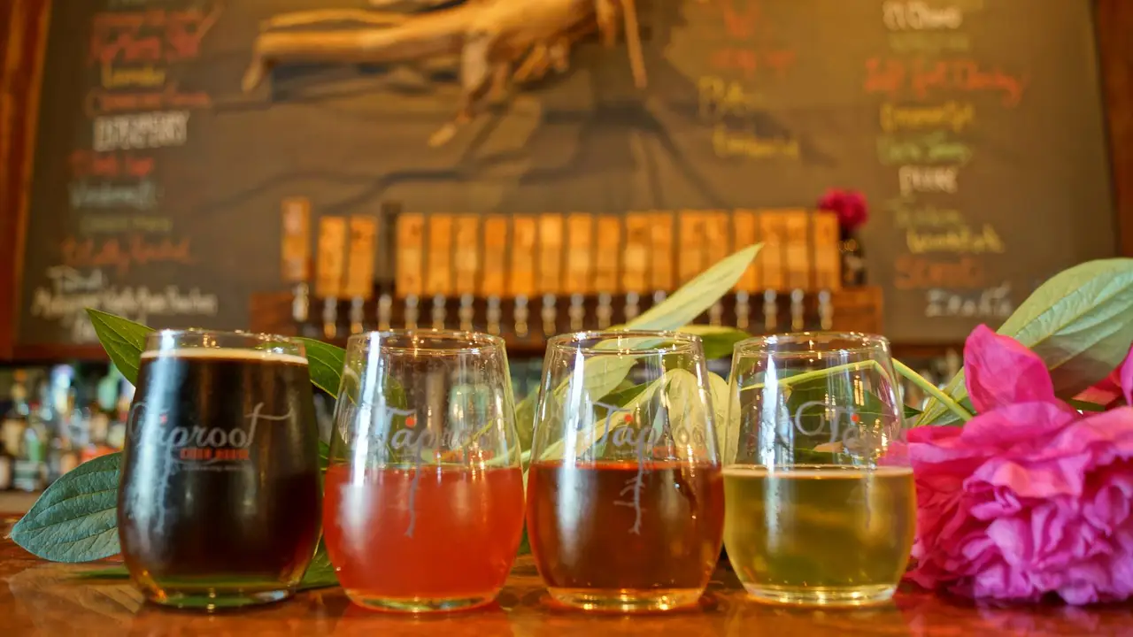 Restaurant Taproot Cider House Traverse City, MI Réservez sur OpenTable