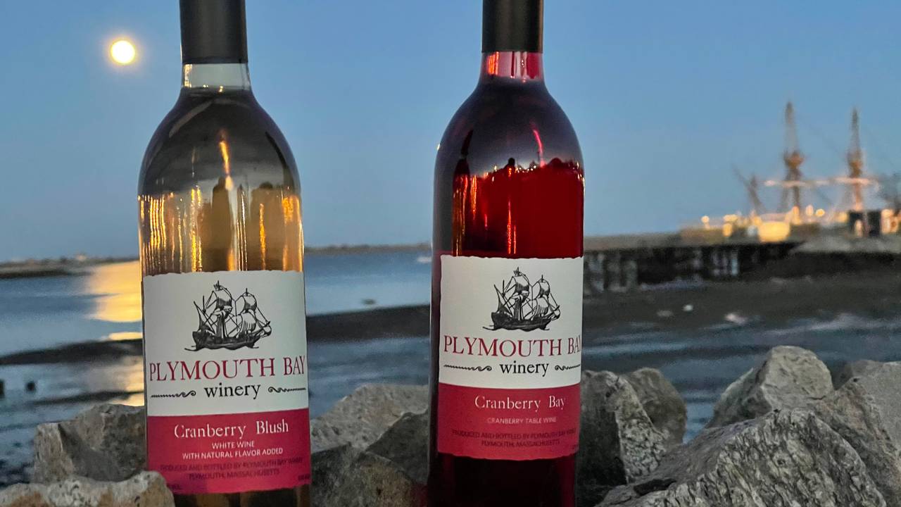 Plymouth Bay Winery Blueberry Bay - 750 ml