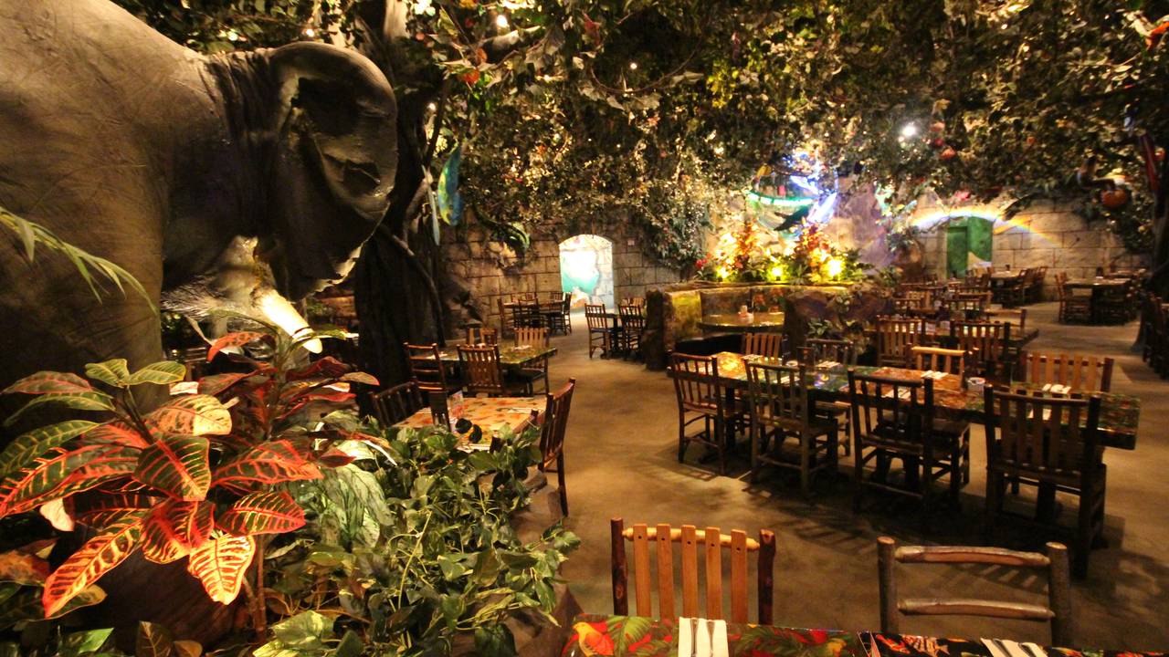 Rainforest Cafe Katy Mills Restaurant Katy Tx Opentable