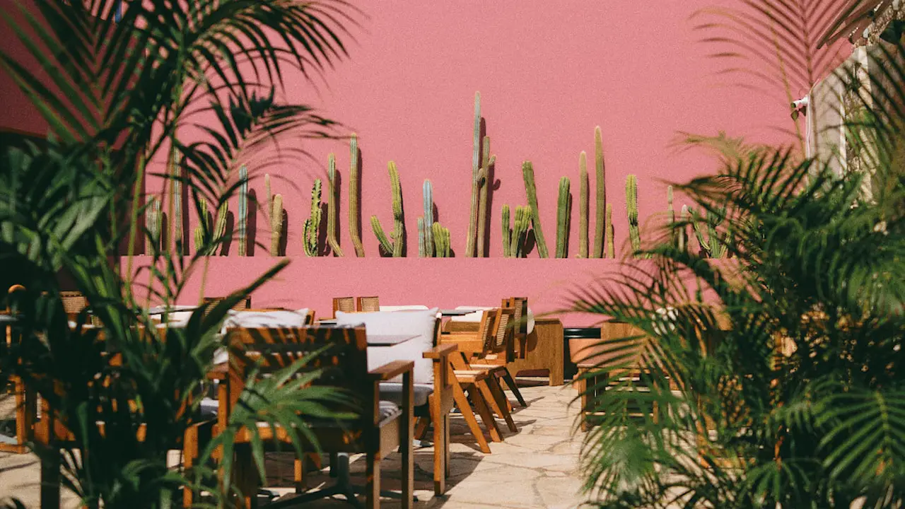 Tio Restaurant Limassol, Limassol OpenTable