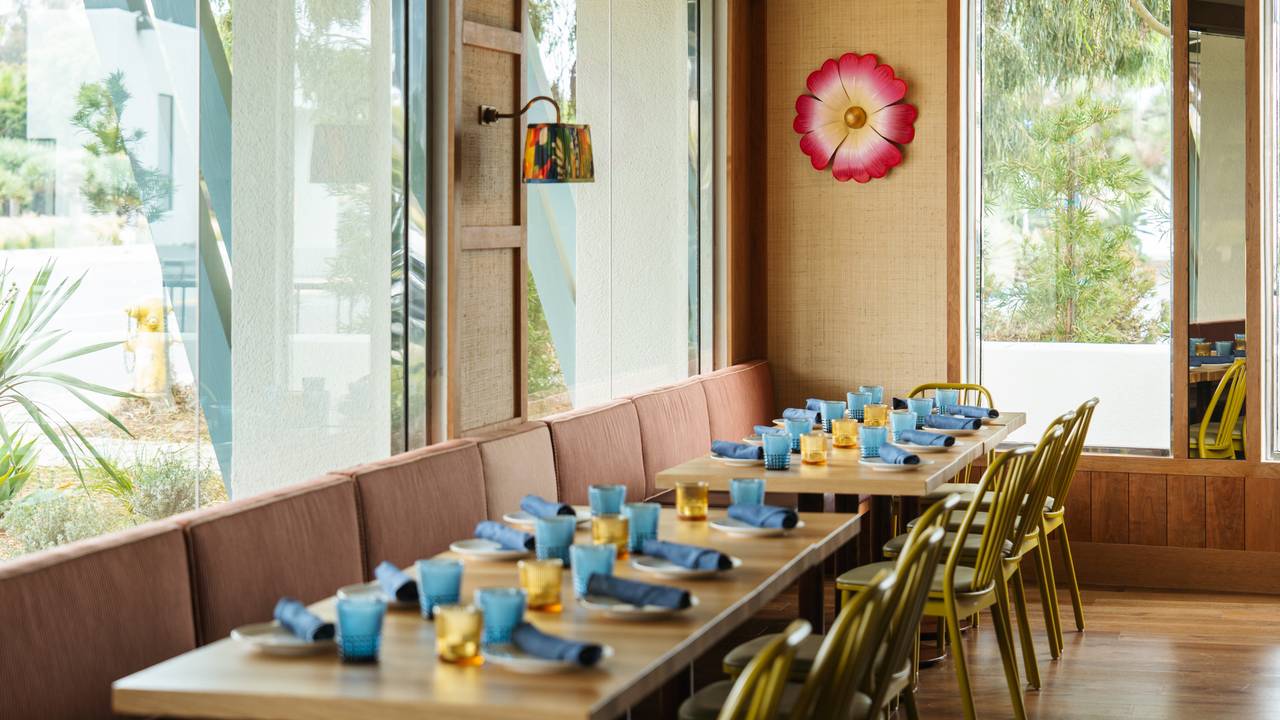 Solana chicago reviews (85) foto