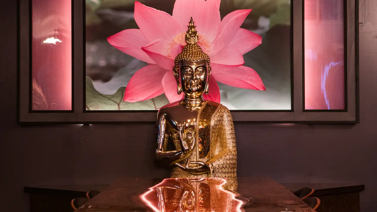 Nui Nui Kitchen Updated 2024, Fusion Restaurant in Phoenixville, PA