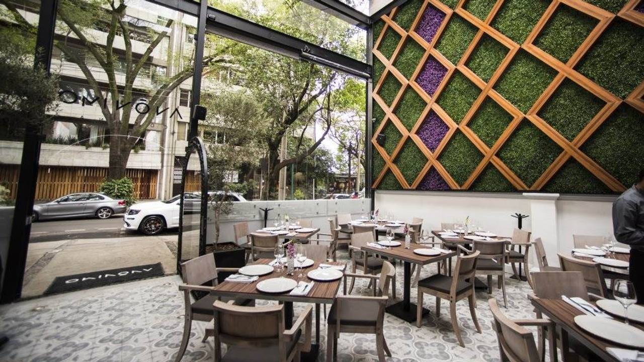 Restaurante An nimo Cocina Zona Polanco Ciudad de M xico CDMX