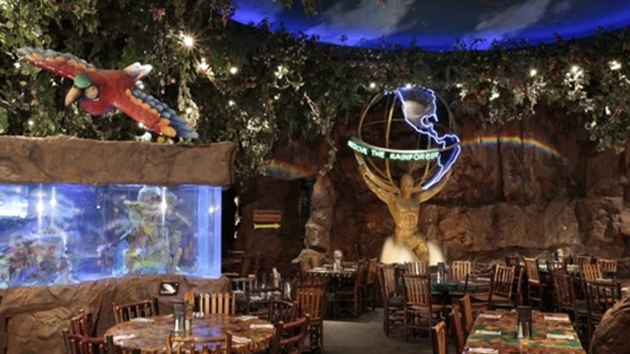 Rainforest Cafe Galveston Restaurant Galveston Tx Opentable