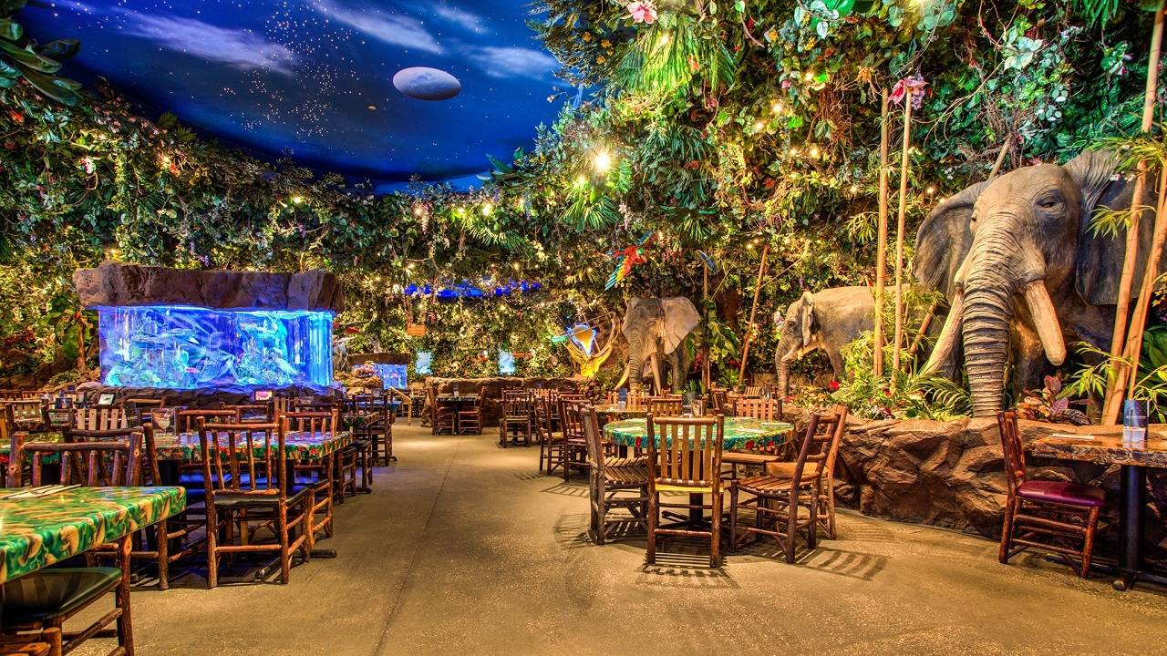 Rainforest Cafe Detroit Great Lakes Restaurant Auburn Hills Mi Opentable