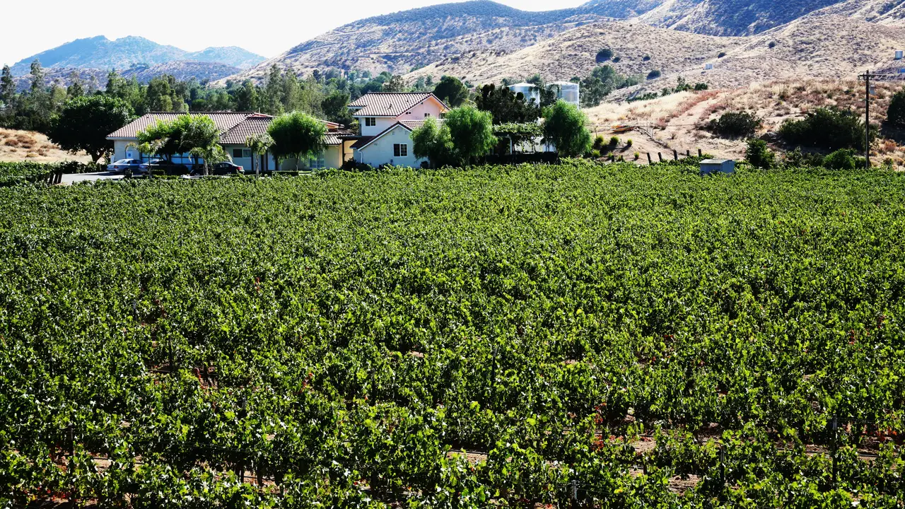 Reyes Winery, Agua Dulce, CA Reyes Winery, Agua Dulce, CA
