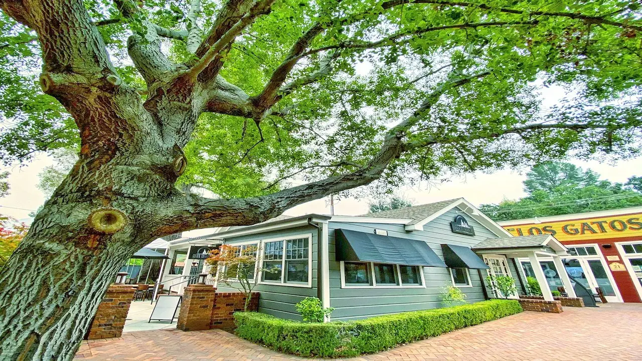 Eleven College Ave Restaurant Los Gatos, CA OpenTable