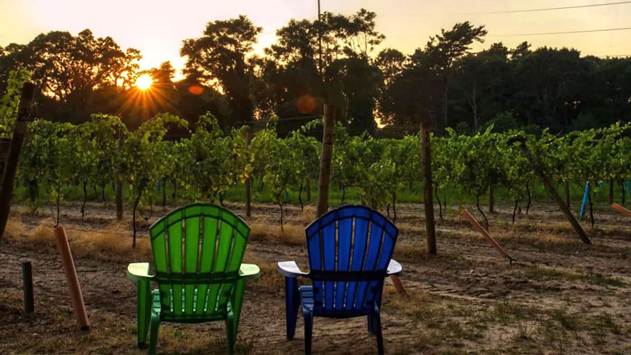 Loughlin Vineyard Restaurant Sayville, NY OpenTable