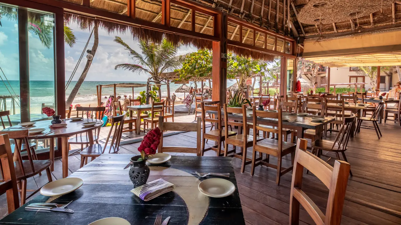 La Zebra Restaurant Tulum, ROO OpenTable