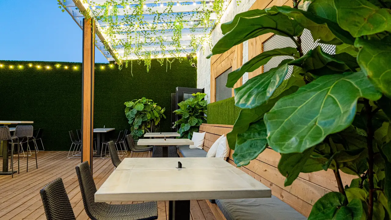 Restaurante Rogue Kitchen & Bar Actualizado en 2023 Reserva tu mesa