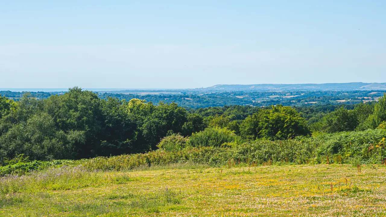 White Hart Netherfield Restaurant Battle, , East Sussex OpenTable